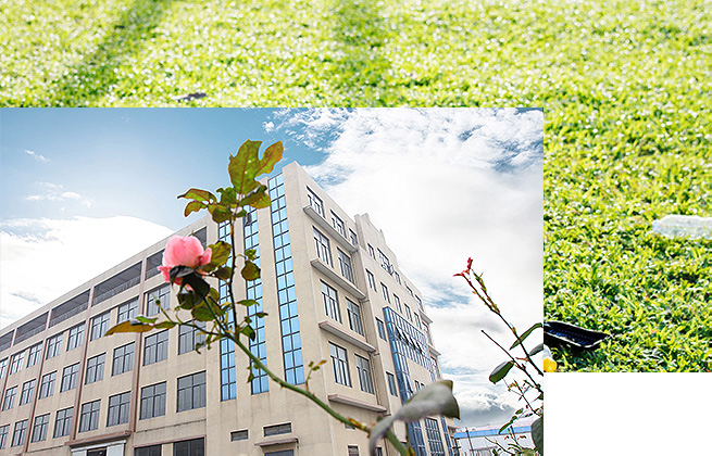 關（guān）於一起草 www.17c.com